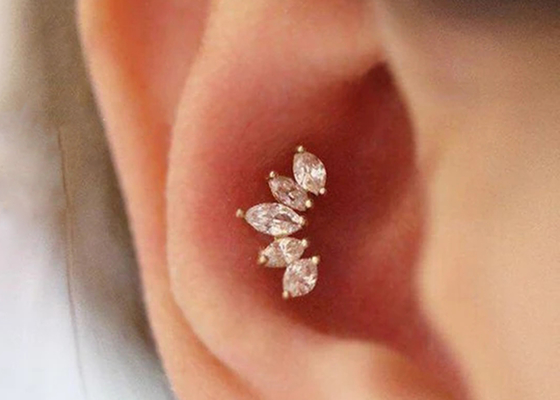 Mq 다이아몬드를 가진 16g 크라운 모양 금 몸 꿰뚫는 보석 귀걸이 6mm 길이
